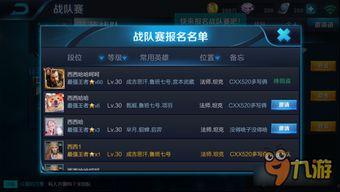 王者怎么看最新爆料记录,揭秘最新游戏动态与更新内容