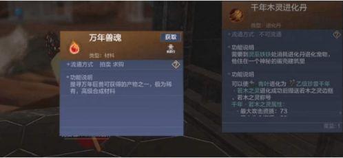 妄想山海最新爆料12月,妄想山海神秘爆料，揭开神秘世界面纱