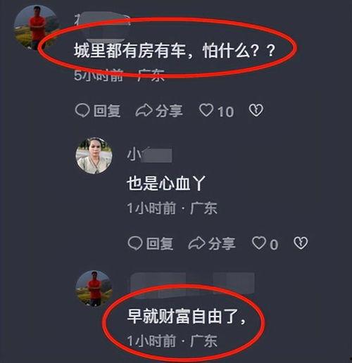 小六最新爆料视频网站,揭秘视频网站幕后真相