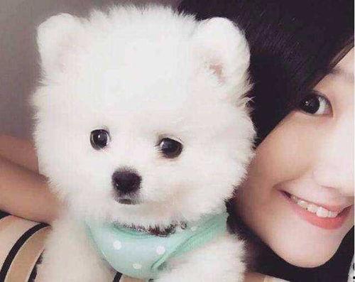 博美爆料新闻视频大全下载,新闻视频大全精彩瞬间回顾