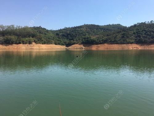 三坑水库爆料最新消息,揭秘水库周边生态保护与旅游发展新动态