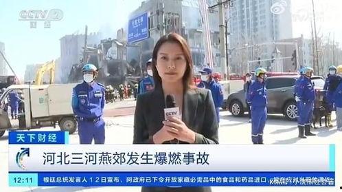 记者皮肤爆料视频大全集,视频大全集深度解析