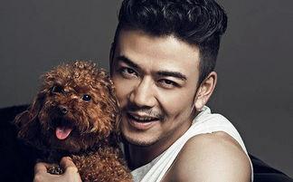 爆料娱乐圈杨烁简介百度百科,娱乐圈实力派演员的崛起之路