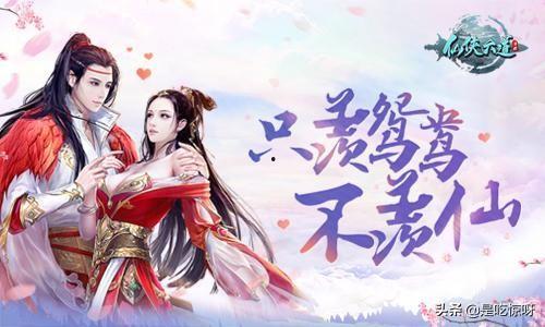 爆料关于不羡仙的视频素材