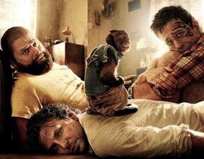 摄影师宿醉官方爆料视频,摄影师幕后故事大揭秘